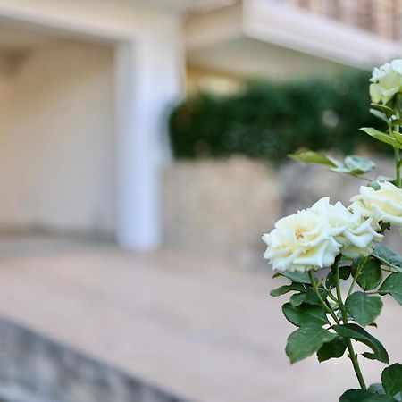 Μικρό Διαμέρισμα Της Αγγελικής Με Αυλή Και Parking Kalamata Luaran gambar